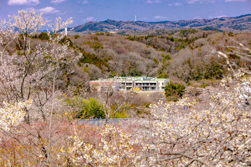 西山公園（西山荘近辺）