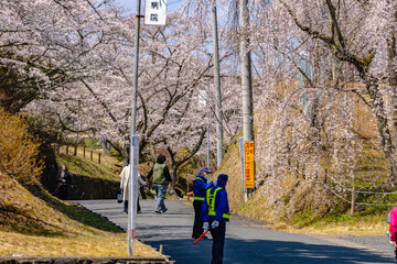 西山公園（西山荘近辺）