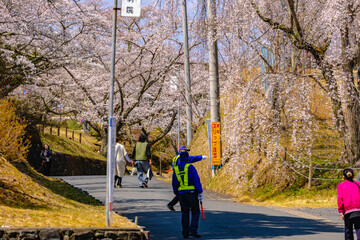 西山公園（西山荘近辺）