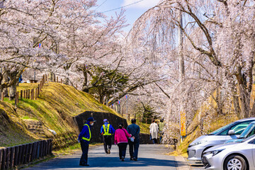 西山公園（西山荘近辺）