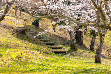 西山公園（西山荘近辺）