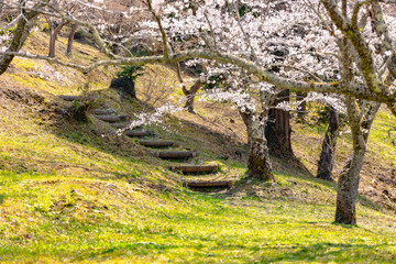 西山公園（西山荘近辺）