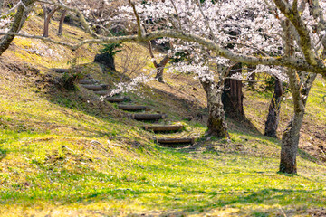 西山公園（西山荘近辺）