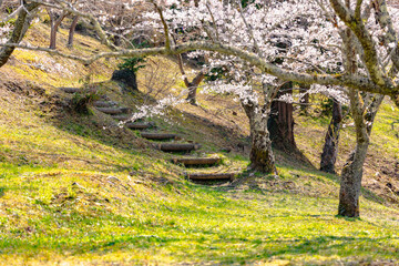 西山公園（西山荘近辺）
