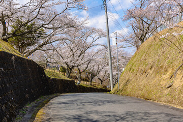 西山公園（西山荘近辺）