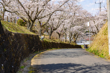 西山公園（西山荘近辺）