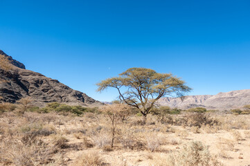 Landscape shot of the Namibian Desert between Windhoek and Sesriem