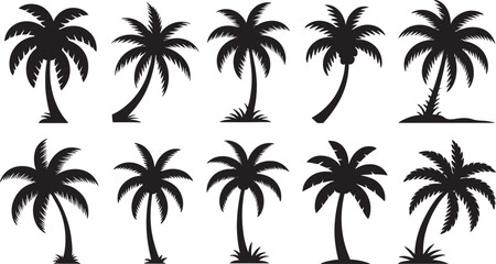 Fototapeta premium Black palm tree silhouettes on white background palm trees