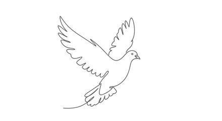 Obraz premium flying dove in one line art style