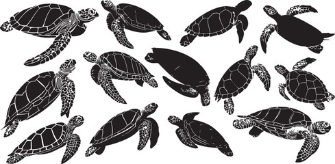 Vector illustration set of sea turtle silhouettes designed as clean solid black shapes suitable for illustration use.