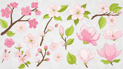 Pink Cherry Blossom Flowers and Branches Collection.
