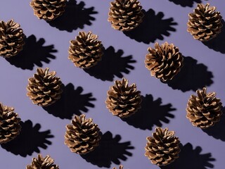 Fototapeta premium Pine Cones Pattern on Purple Background, Shadows, Autumnal, Nature, Decorative, Minimal