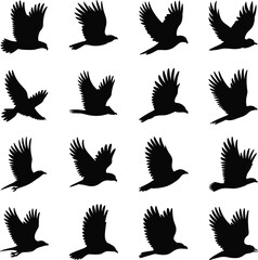 Obraz premium Flying bird silhouettes set, wings spread avian poses collection, wild nature bird shapes, black vector illustration isolated on white background