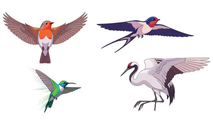 Fototapeta premium A collection of four distinct illustrated birds in flight or poised for movement showcasing a robin, a swallow, a hummingbird, and a Japanese crane