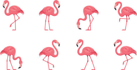 Obraz premium A delightful array of eight vibrant pink flamingos showcases graceful poses against a pure white backdrop