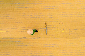 Aerial view worker wearing a Non La hat uses a rake to spread harvested rice grains evenly across a large drying field in rural Vietnam