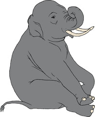 elephant vector illustration