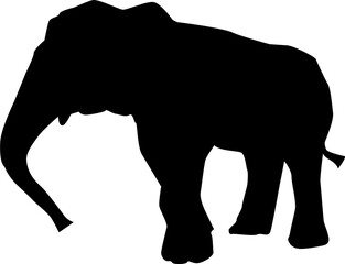 elephant silhouette isolated on white