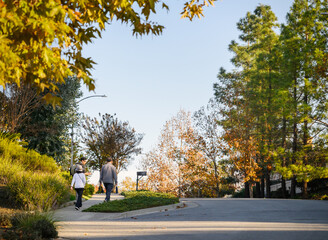 Three friends walking on the pedestrian footpath. Walkable suburb in autumn colour. California.