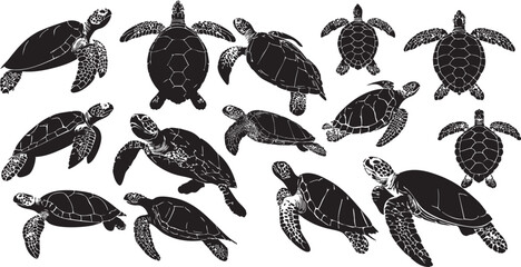 Vector illustration set of sea turtle silhouettes designed as clean solid black shapes suitable for illustration use.