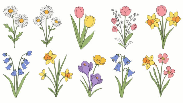 Collection of Spring Flowers Illustration.