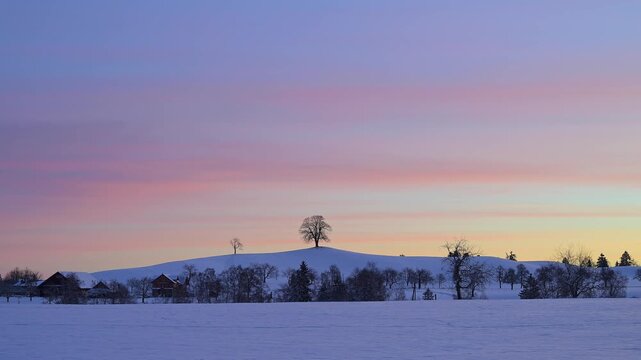 Winterlandschaft mit schneebedecktem H&uuml;gel, einsamen B&auml;umen, farbigem Sonnenuntergangshimmel, Menzingen, Zug, Kanton Zug, Schweiz, Europa -
