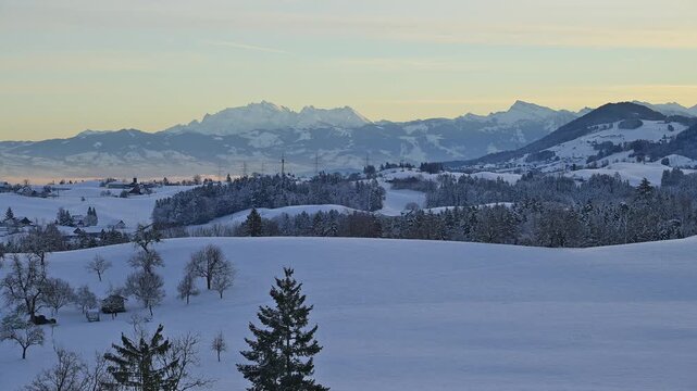 Verschneite Winterlandschaft mit B&auml;umen und H&uuml;geln im Sonnenaufgang, Menzingen, Zug, Kanton Zug, Schweiz, Europa