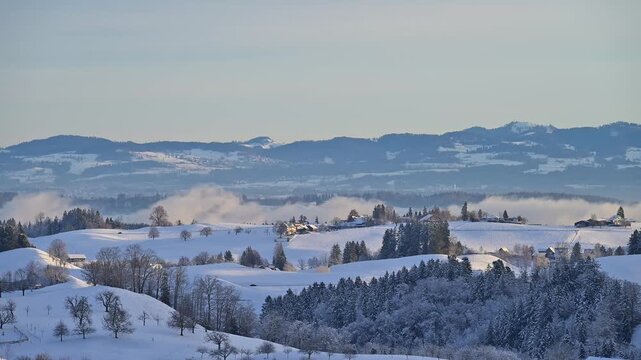 Verschneite Winterlandschaft mit B&auml;umen und H&uuml;geln im Sonnenaufgang, Menzingen, Zug, Kanton Zug, Schweiz, Europa
