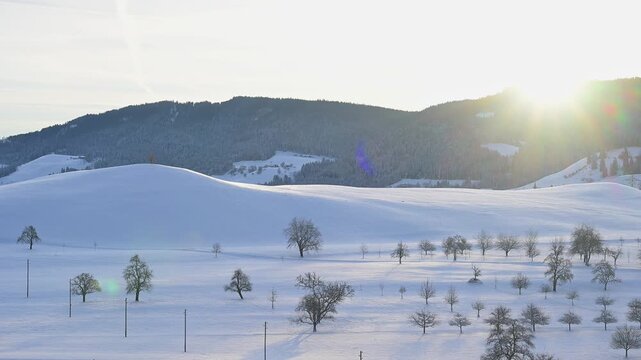Verschneite Winterlandschaft mit B&auml;umen und H&uuml;geln im Sonnenaufgang, Menzingen, Zug, Kanton Zug, Schweiz, Europa