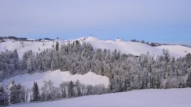 Verschneite Landschaft mit sanften H&uuml;geln, Wald und Lindenb&auml;ume in ruhiger Winteratmosph&auml;re, Sch&ouml;ningen, Z&uuml;rich, Kanton Z&uuml;rich, Schweiz, Europa 