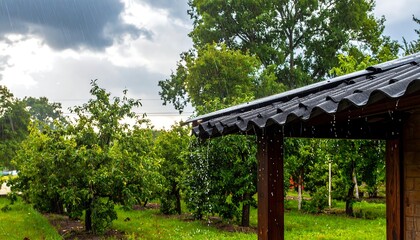 A serene outdoor scene with a wooden structure and lush greenery on a rainy day