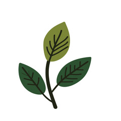 Front-view maple leaf with rich green tone icon for web design, eco branding, or seasonal decorative elements.