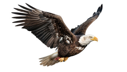 Obraz premium Bald eagle flying in mid air with wings spread wide on white background symbolizing freedom and power PNG.