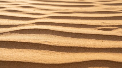 Sand dunes with textured patterns in warm golden tones  