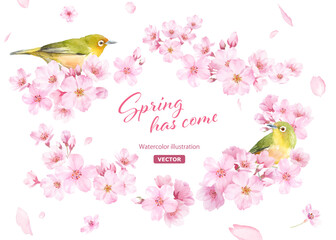 桜の花と小鳥（メジロ）の水彩イラストでデザインした、緩やかな楕円形フレーム 背景に花びら （ベクター 鳥と花は別レイヤー）