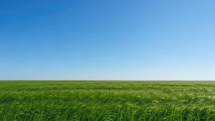 Obraz premium Vast Green Field Under a Clear Blue Sky 2.