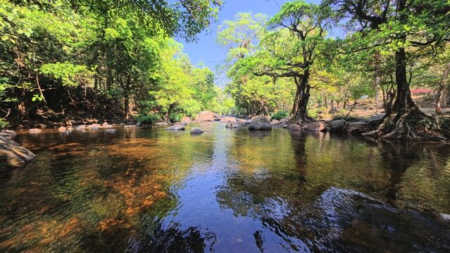 Peaceful stream with rocks, river in the forest
