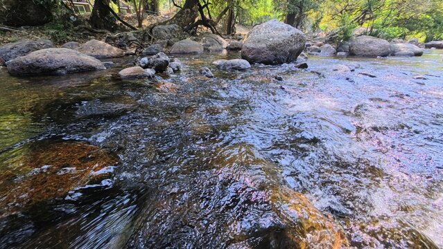 Stream in the forest, waterfalls in the national park