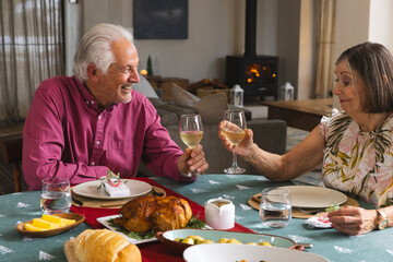 Senior couple in burgundy shirt and blouse raising wine glasses at home dining table with poultry