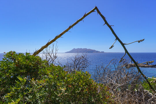 An artistically framed view from the coast of Levanzo Island, Sicily, looking across the bright blue Mediterranean Sea to the distant, mountainous silhouette of Marettimo Island, highlighted by a natu