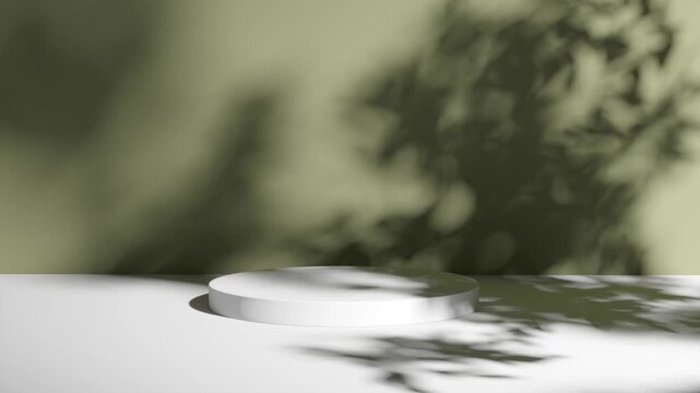 Copy space for product presentation. Summer background scene with shadow on wall and table. 3d render. 