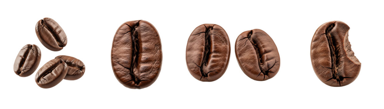 High Quality Collection of Roasted Arabica Coffee Beans Isolated PNG, transparent background