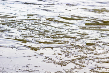 A pile of small ice floes in the water. A freezing river. Winter background.