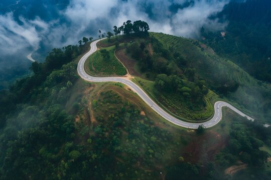Aerial View of Winding Mountain Roads Through Forests of Nuwara Eliya, Sri Lanka