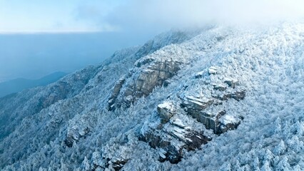 Snow-covered mountain ridge with rocky outcrops and dense forest under overcast sky