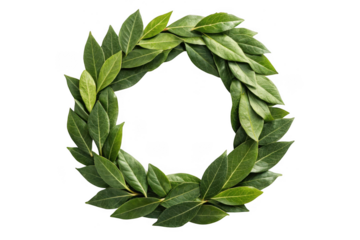 Green laurel wreath isolated on transparent background