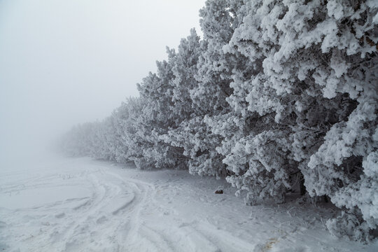 Snowy winter mountain road in Armenia with scenic landscape, icy conditions, and travel route through remote nature. Cold season transportation concept with wilderness, snowfall and driving conditions - Powered by Adobe