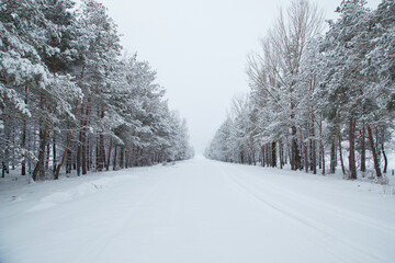 Naklejka premium Snowy winter mountain road in Armenia with scenic landscape, icy conditions, and travel route through remote nature. Cold season transportation concept with wilderness, snowfall and driving conditions