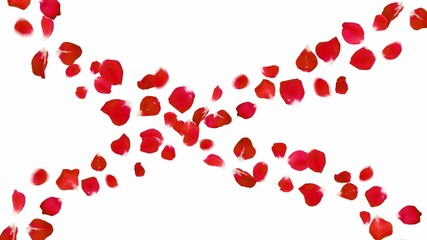 Red Rose Petals Scatter &ndash; Romantic Heart-Shaped Pattern on White Background Love & Romance Aesthetic