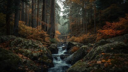 Obraz premium Autumn forest landscape with flowing water and colorful trees in tranquil setting